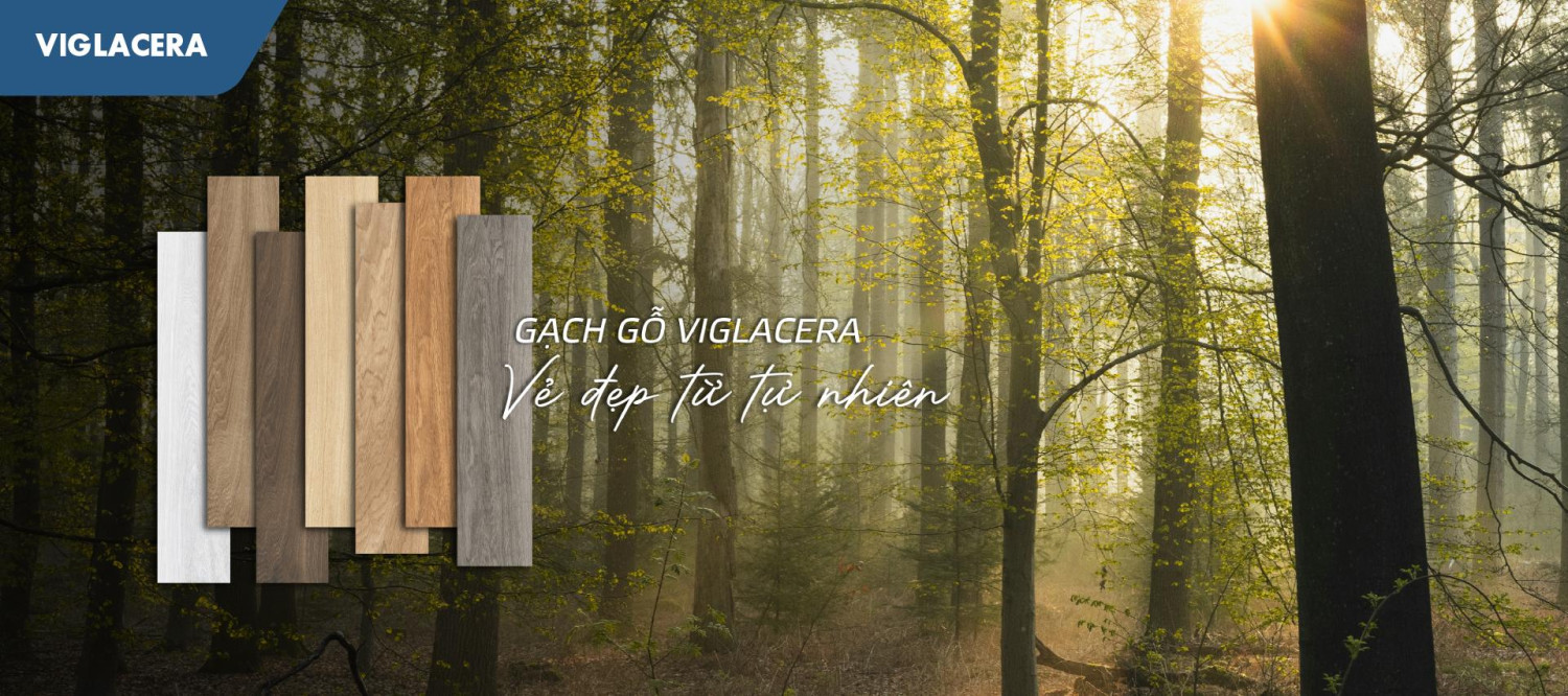 Tổng công ty Viglacera portfolio 4